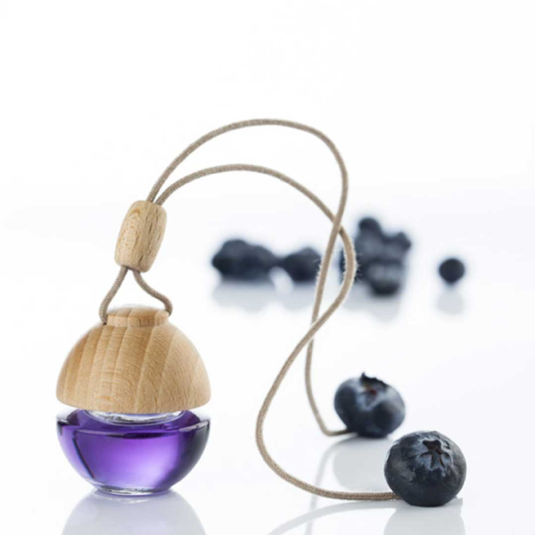 بهترین بوگیر ماشین